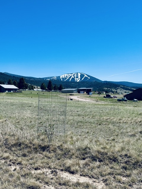 Whiskey Flats Stevie Lane/S. Sunbear Drive
