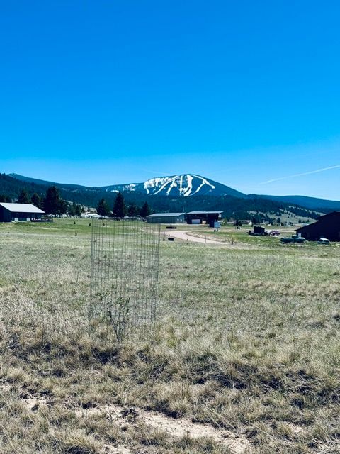 Tiny photo for Whiskey Flats Stevie Lane/S. Sunbear Drive, Philipsburg, MT 59858 (MLS # 30070768)