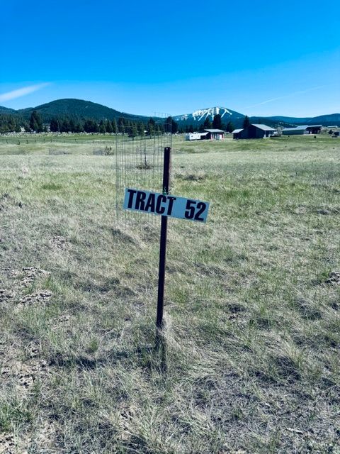 Tiny photo for Whiskey Flats Stevie Lane/S. Sunbear Drive, Philipsburg, MT 59858 (MLS # 30070768)