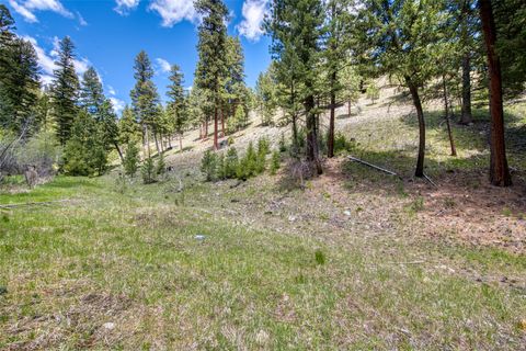 Tiny photo for 77 Alta Meadow Trail, Darby, MT 59829 (MLS # 30068796)