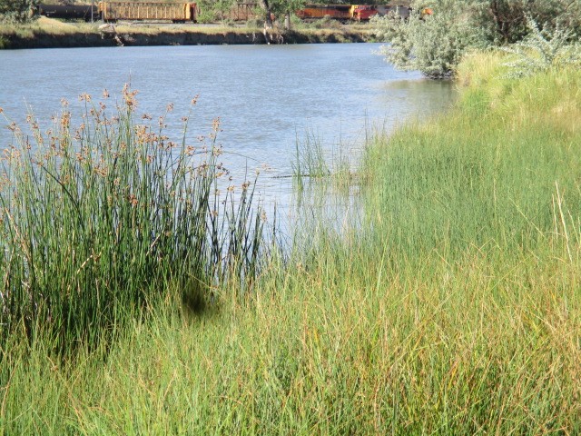 2000 River Road