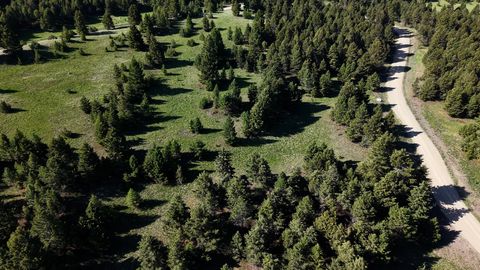 Photo of NHN Lot 6 Phase 3A Dolus Lake Road #Lot 6, Deer Lodge, MT 59722 (MLS # 30069497)