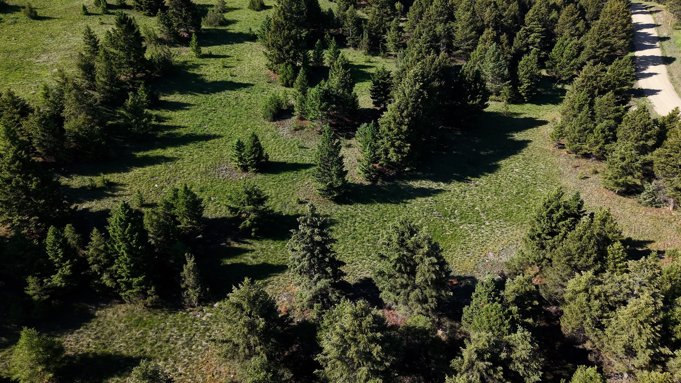 NHN Lot 6 Phase 3A Dolus Lake Road Lot 6