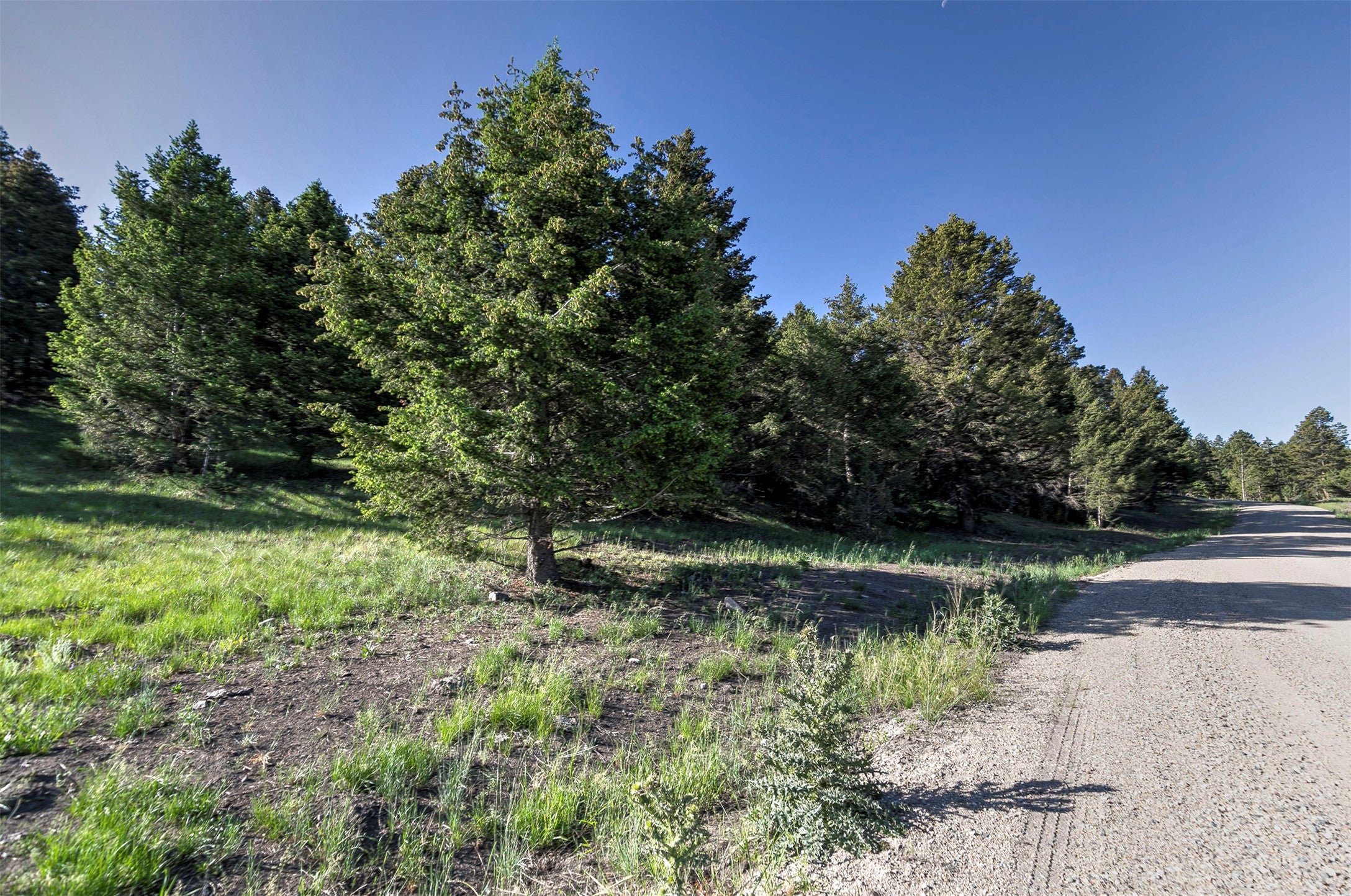 NHN Lot 6 Phase 3A Dolus Lake Road Lot 6