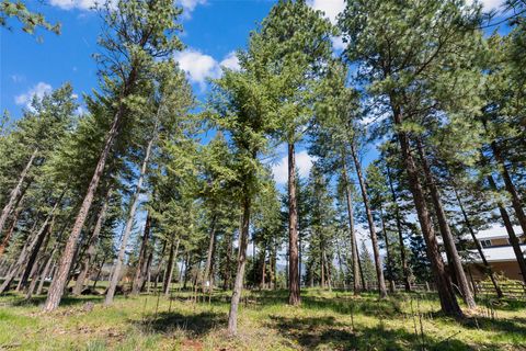 Tiny photo for 32407 N Finley Point Road, Polson, MT 59860 (MLS # 30068988)