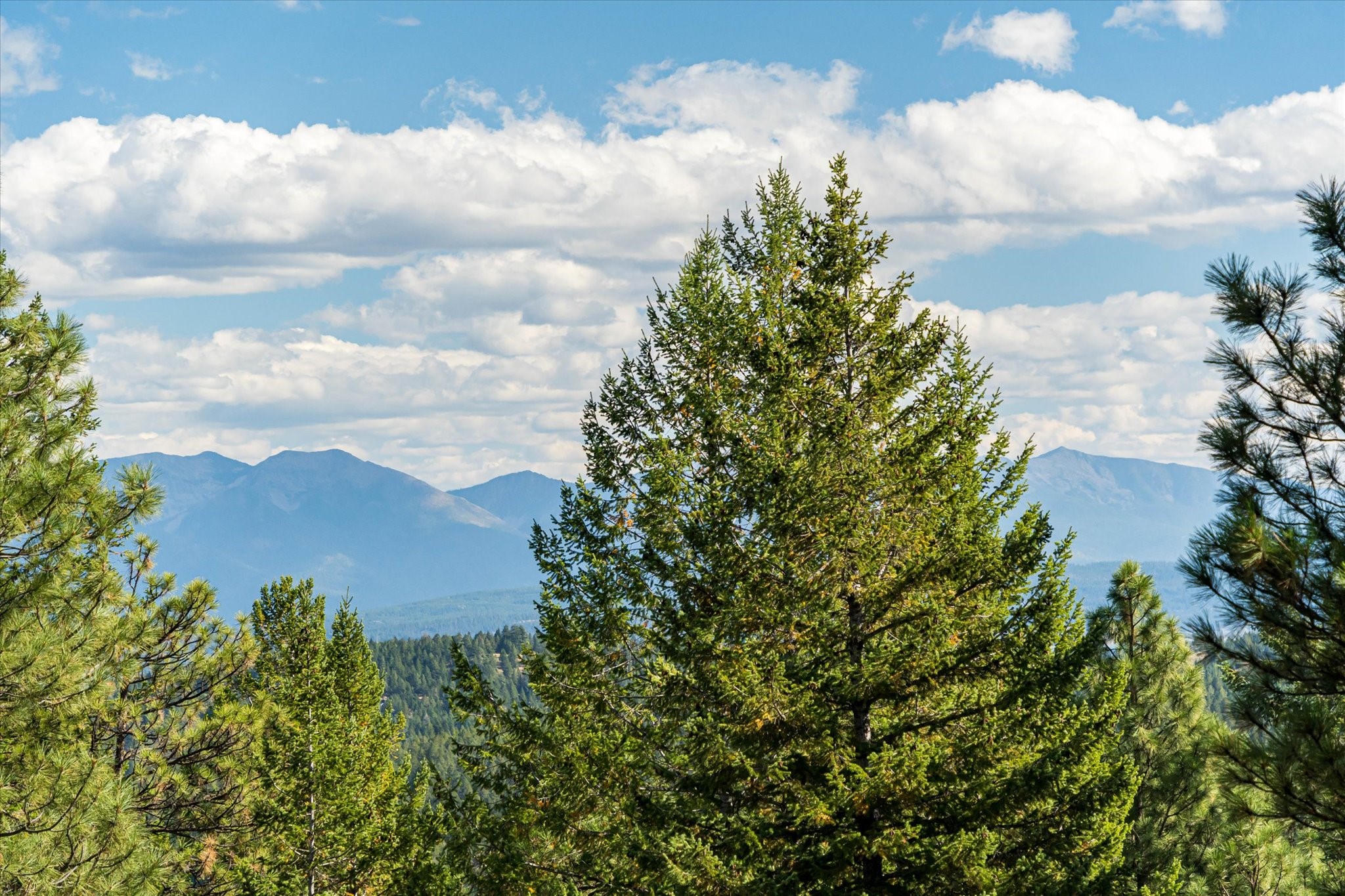 Kalispell, Montana 59901, United States, 2 Bedrooms Bedrooms, ,2 BathroomsBathrooms,Residential,Pending,40315