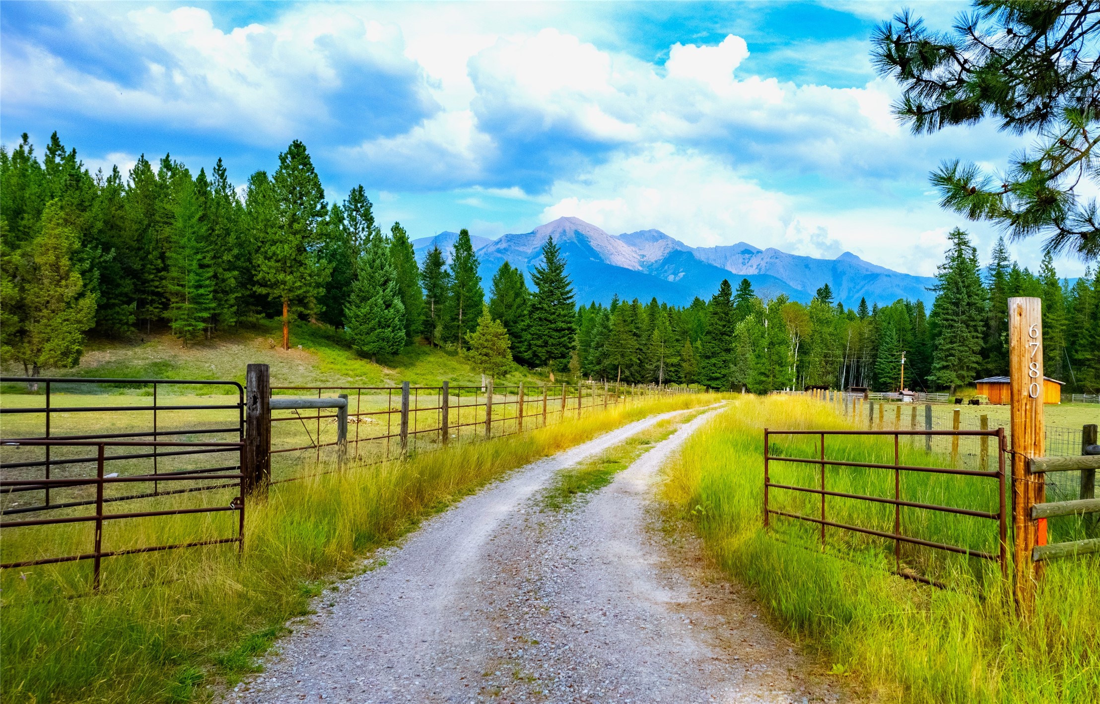 Condon, Montana 59826, United States, 3 Bedrooms Bedrooms, ,1 BathroomBathrooms,Residential,Active,47799