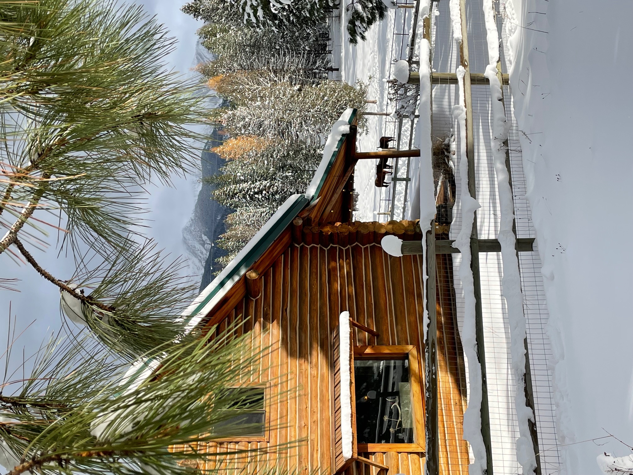 Condon, Montana 59826, United States, 3 Bedrooms Bedrooms, ,1 BathroomBathrooms,Residential,Active,47799