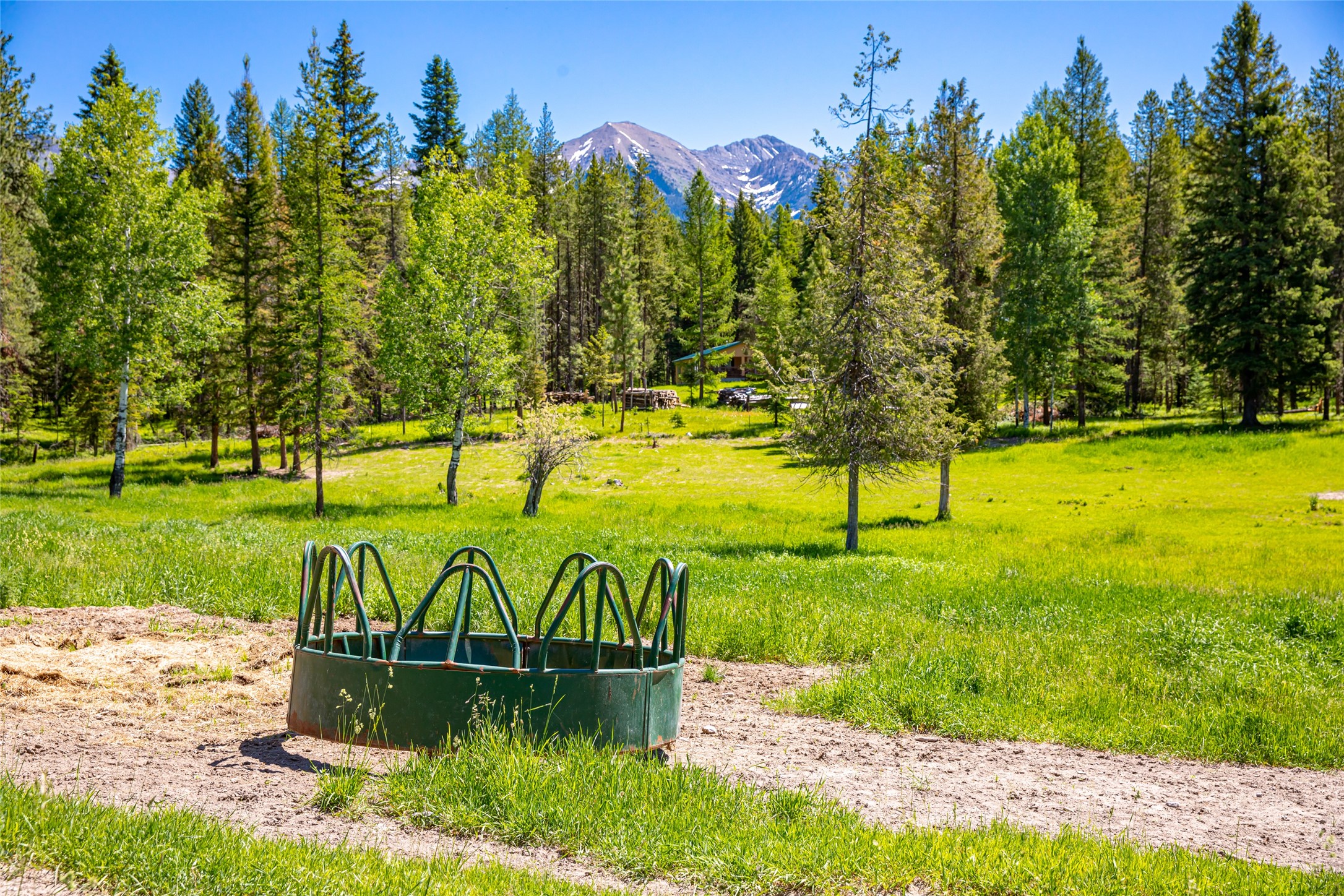 Condon, Montana 59826, United States, 3 Bedrooms Bedrooms, ,1 BathroomBathrooms,Residential,Active,47799