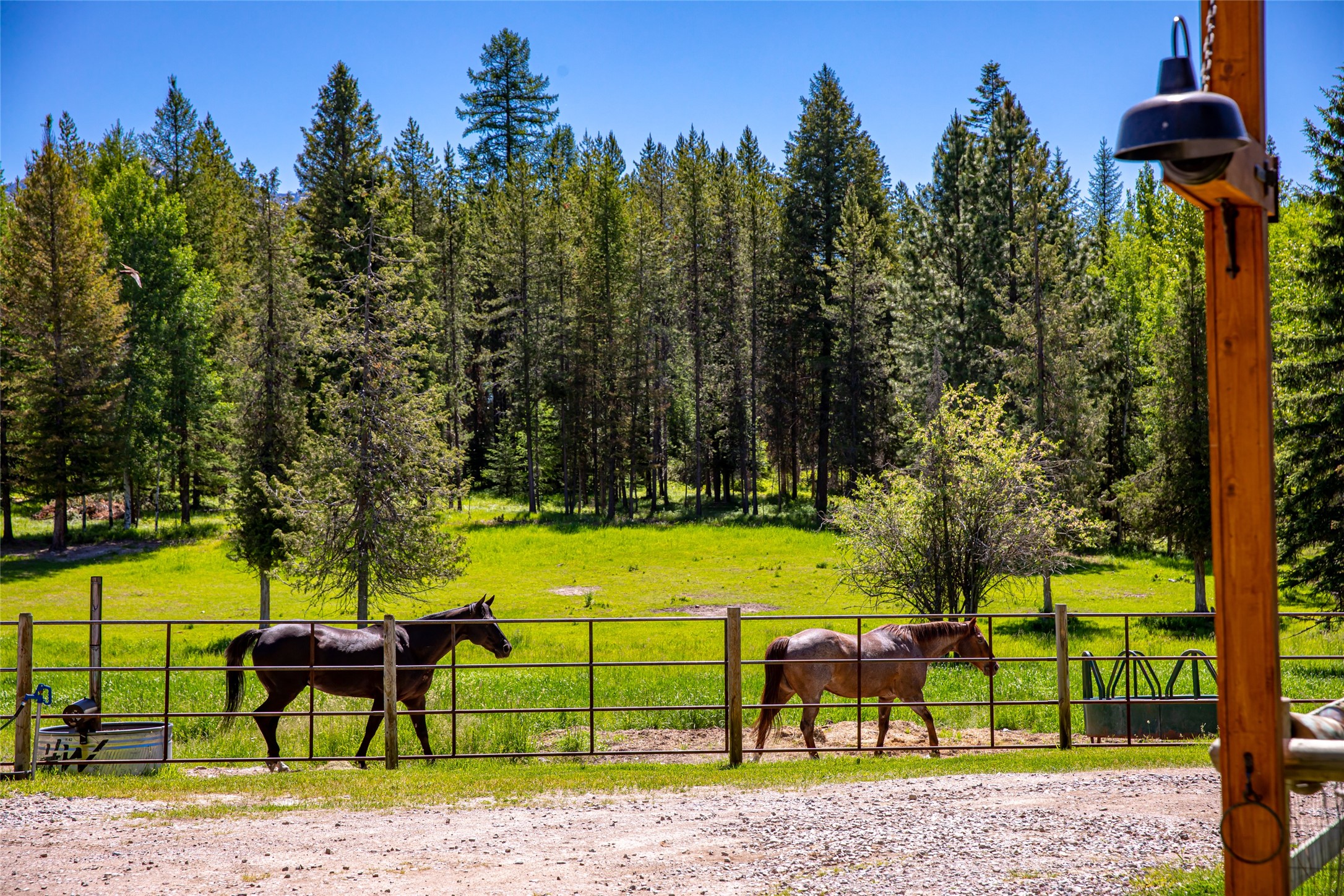 Condon, Montana 59826, United States, 3 Bedrooms Bedrooms, ,1 BathroomBathrooms,Residential,Active,47799