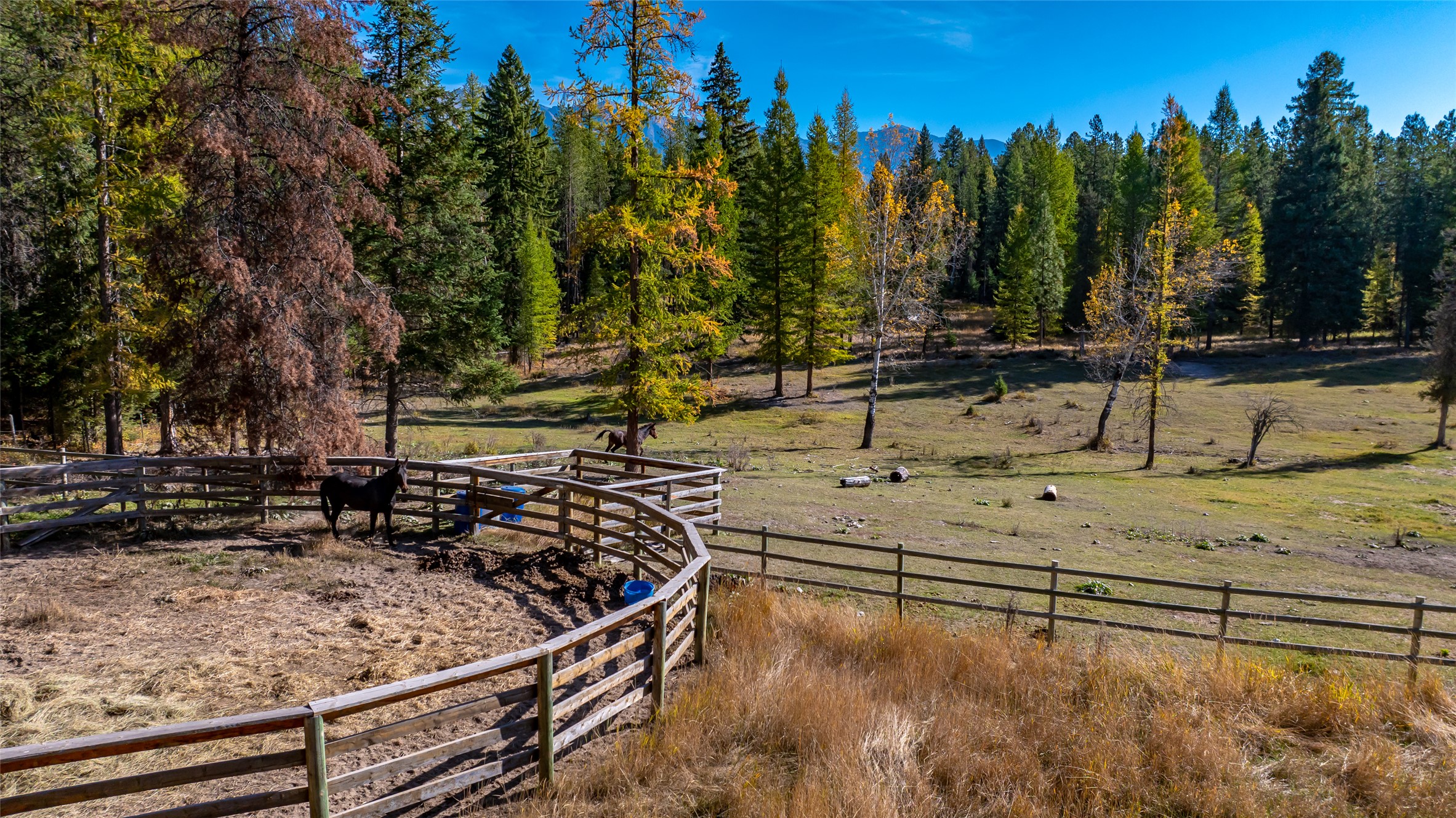 Condon, Montana 59826, United States, 3 Bedrooms Bedrooms, ,1 BathroomBathrooms,Residential,Active,47799