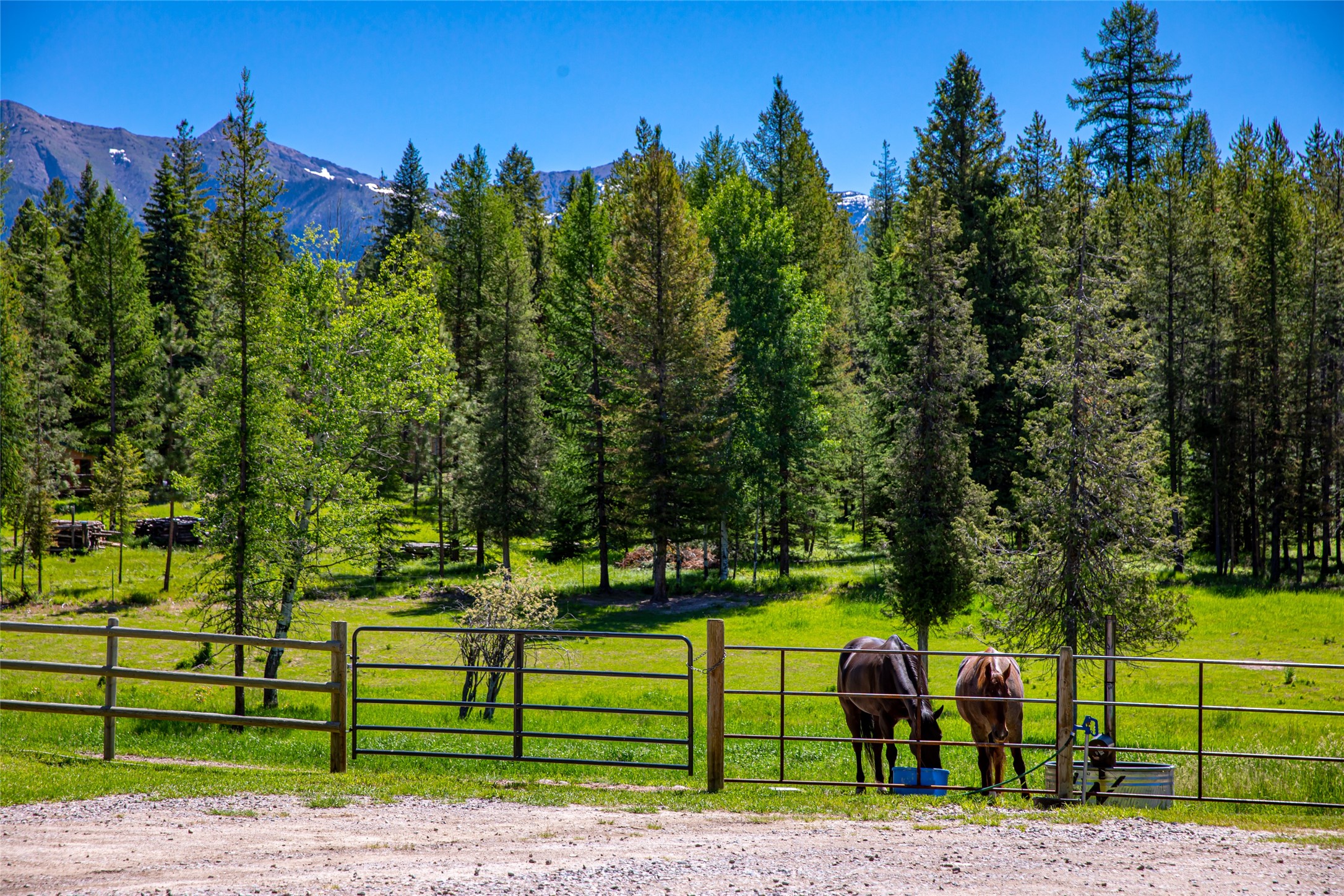 Condon, Montana 59826, United States, 3 Bedrooms Bedrooms, ,1 BathroomBathrooms,Residential,Active,47799