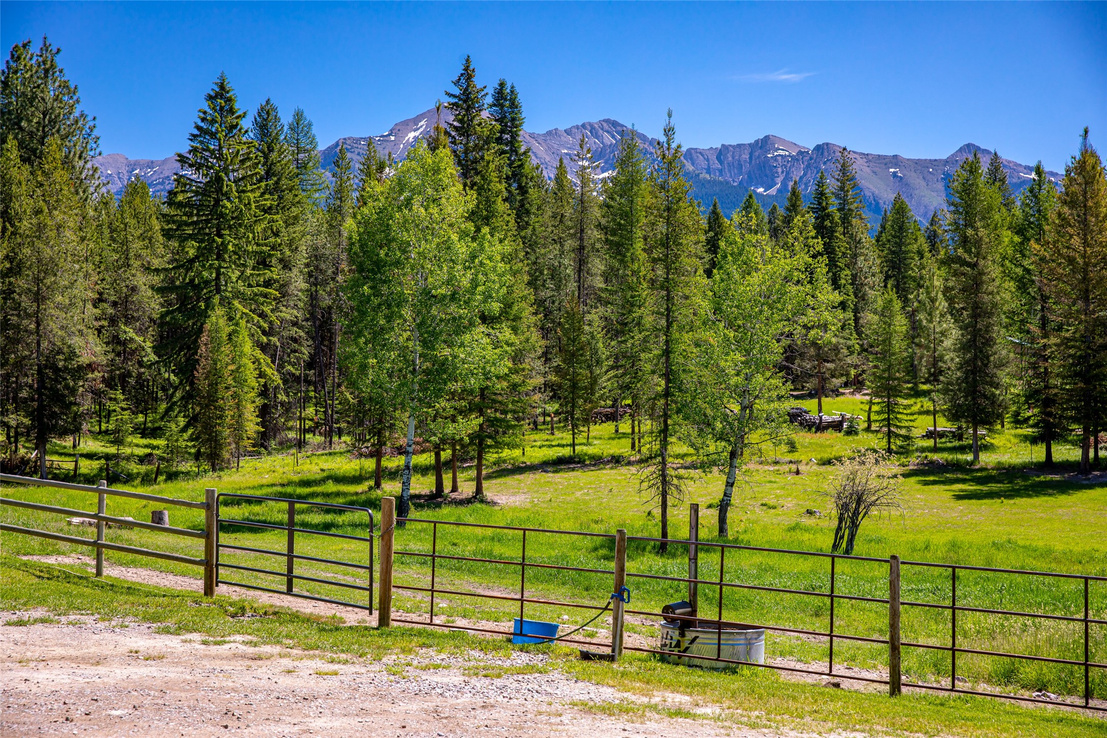 Condon, Montana 59826, United States, 3 Bedrooms Bedrooms, ,1 BathroomBathrooms,Residential,Active,47799