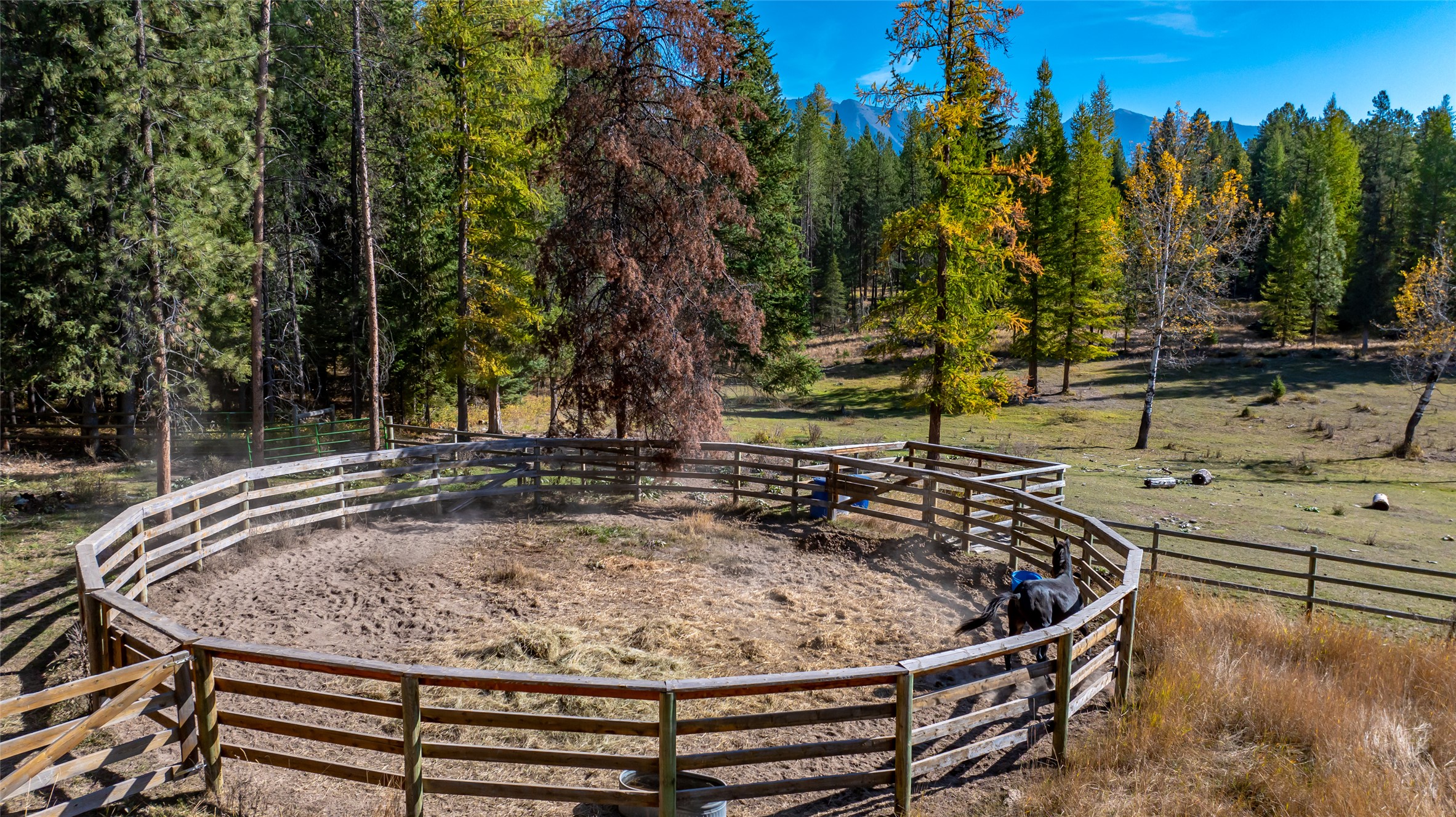 Condon, Montana 59826, United States, 3 Bedrooms Bedrooms, ,1 BathroomBathrooms,Residential,Active,47799