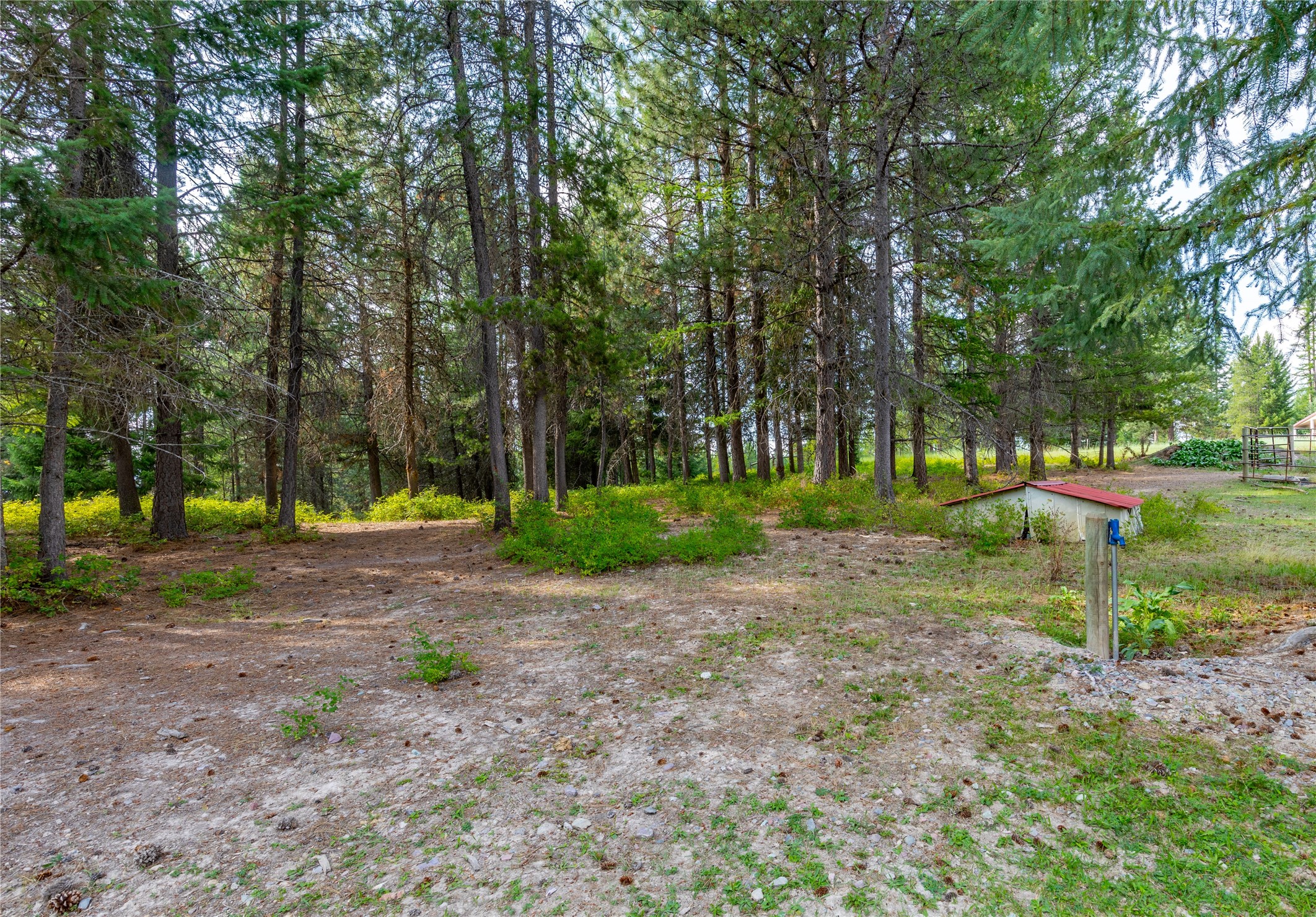 Condon, Montana 59826, United States, 3 Bedrooms Bedrooms, ,1 BathroomBathrooms,Residential,Active,47799