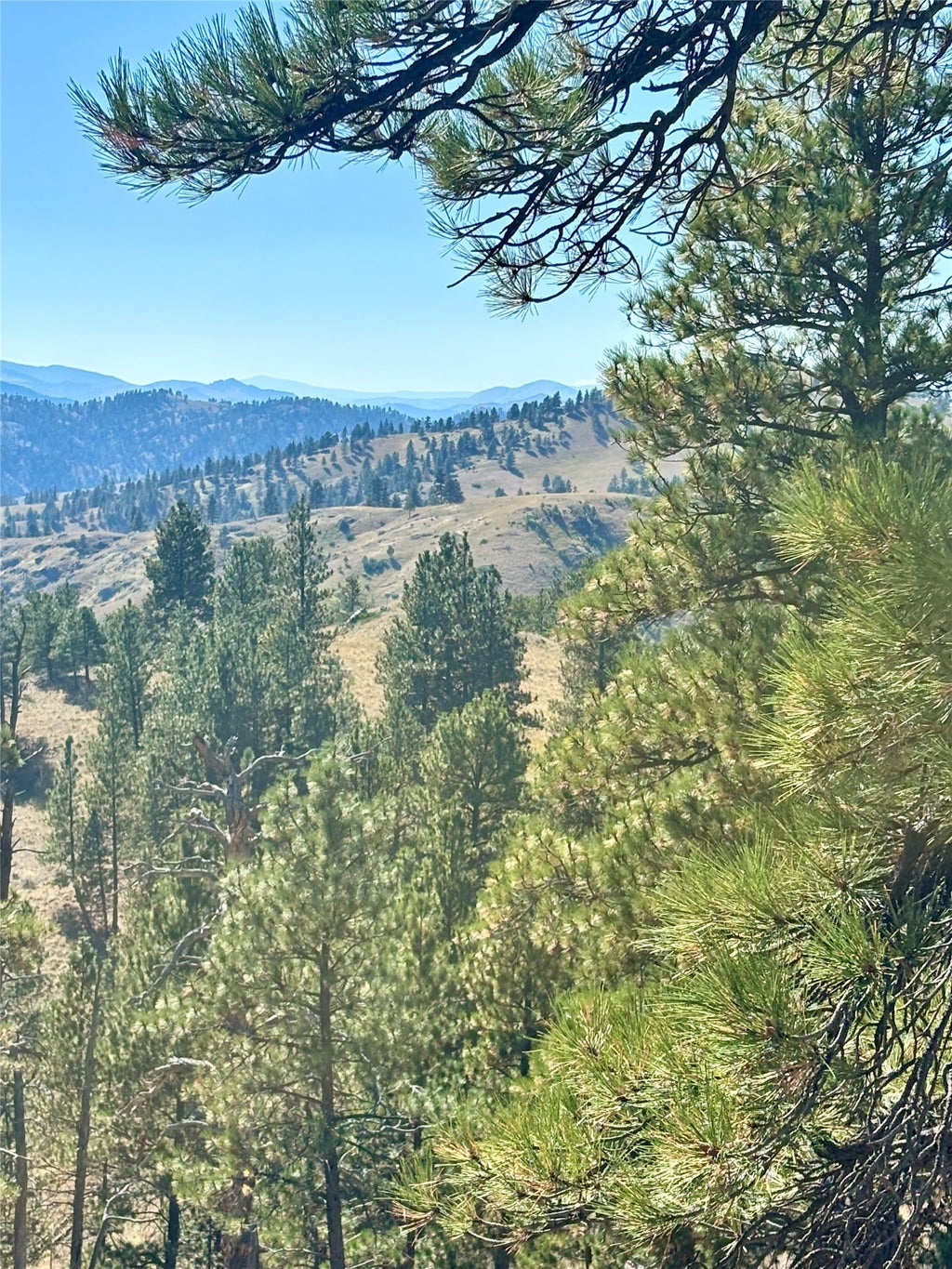 Photo of NHN Pioneer Trail Lane, Cascade, MT 59421 (MLS # 30078427)