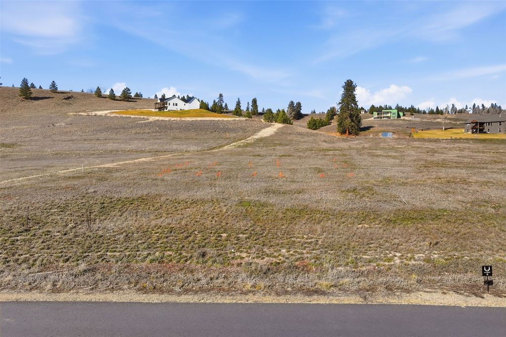 Photo of 208 Barnwood Way, Stevensville, MT 59870 (MLS # 30066151)