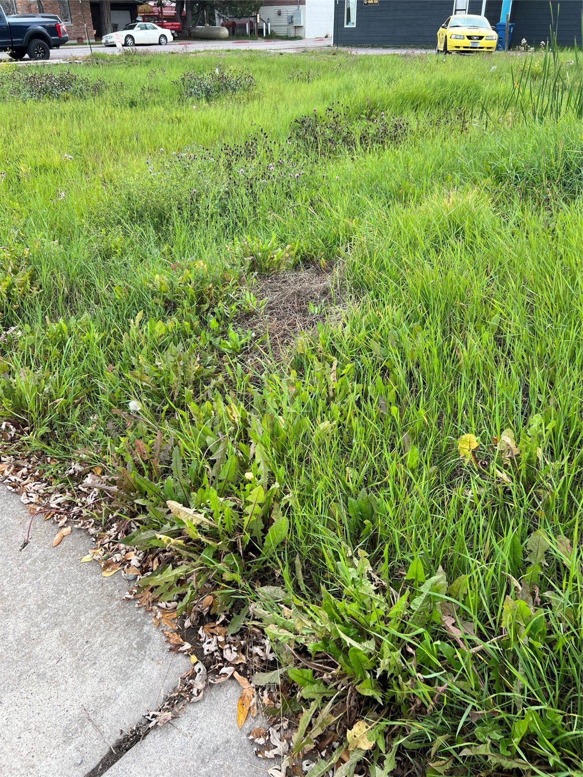 Ronan, Montana 59864, United States, ,Commercial,Pending,70034