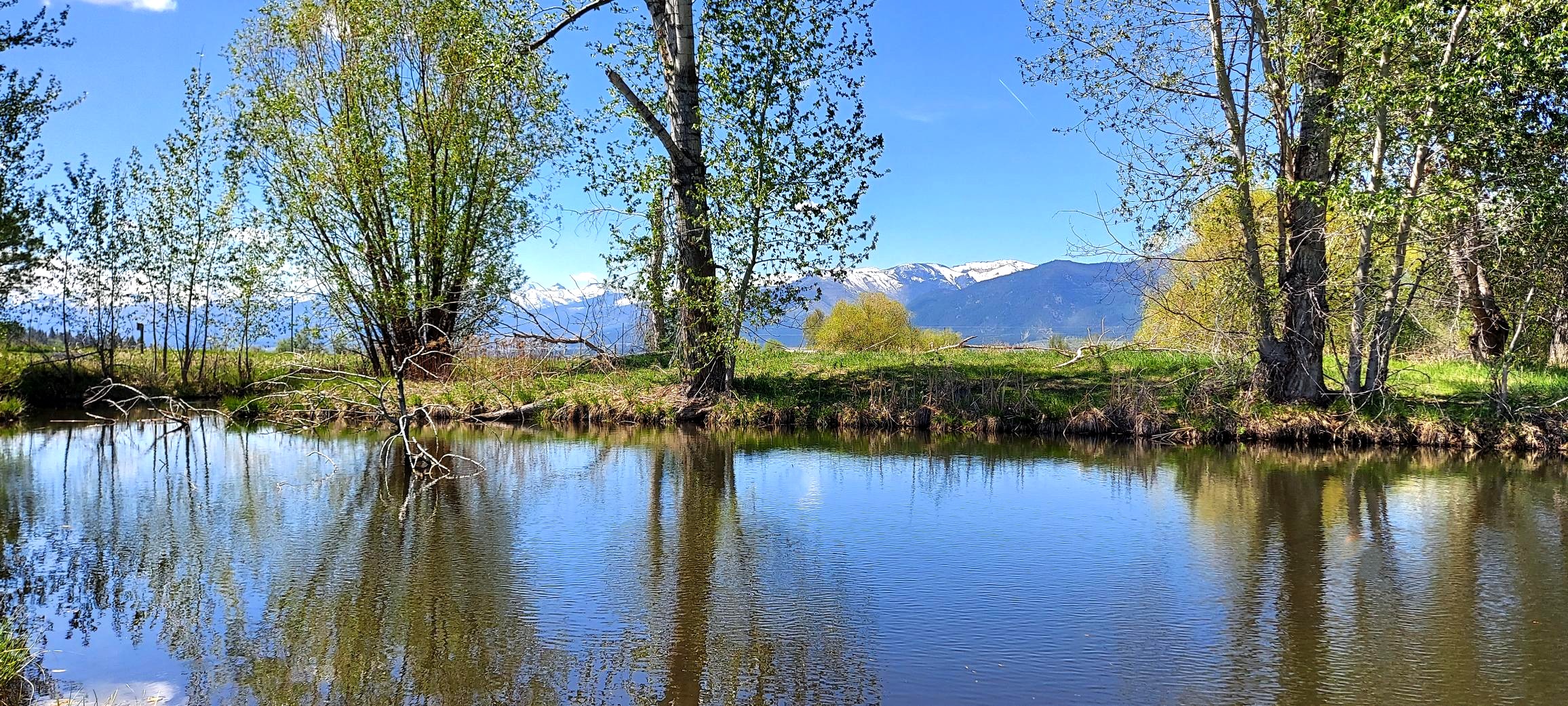 586 Cash Nichols Road