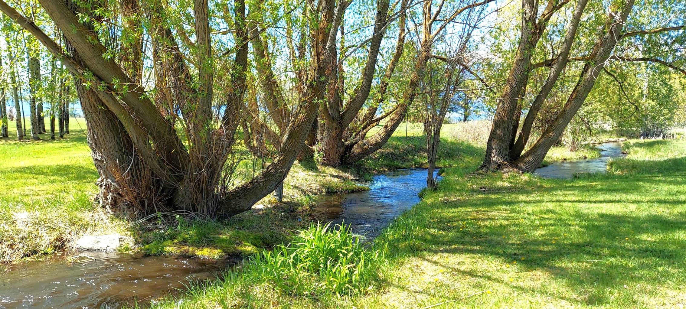 586 Cash Nichols Road