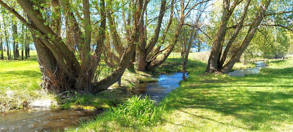 Photo of 586 Cash Nichols Road, Stevensville, MT 59870 (MLS # 30060712)