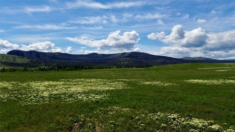 Tiny photo for 0 Lot 2 Yellowbell Lane #Lot 2, Dayton, MT 59914 (MLS # 30073428)