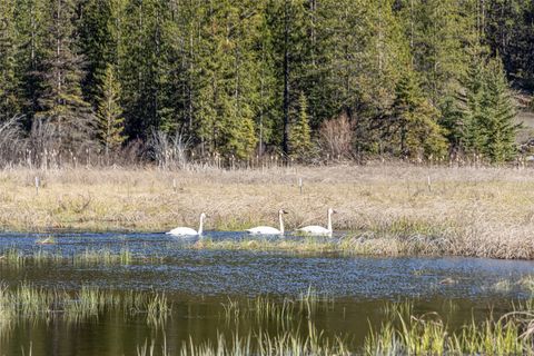 Tiny photo for 1500 Hodge Creek Road, Kila, MT 59920 (MLS # 30070610)