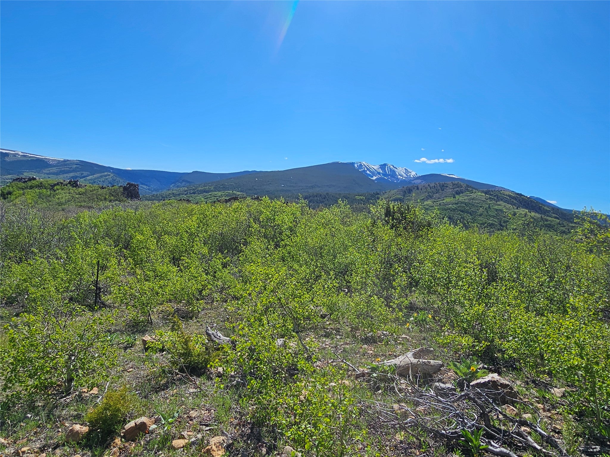 NHN Alpha Trail