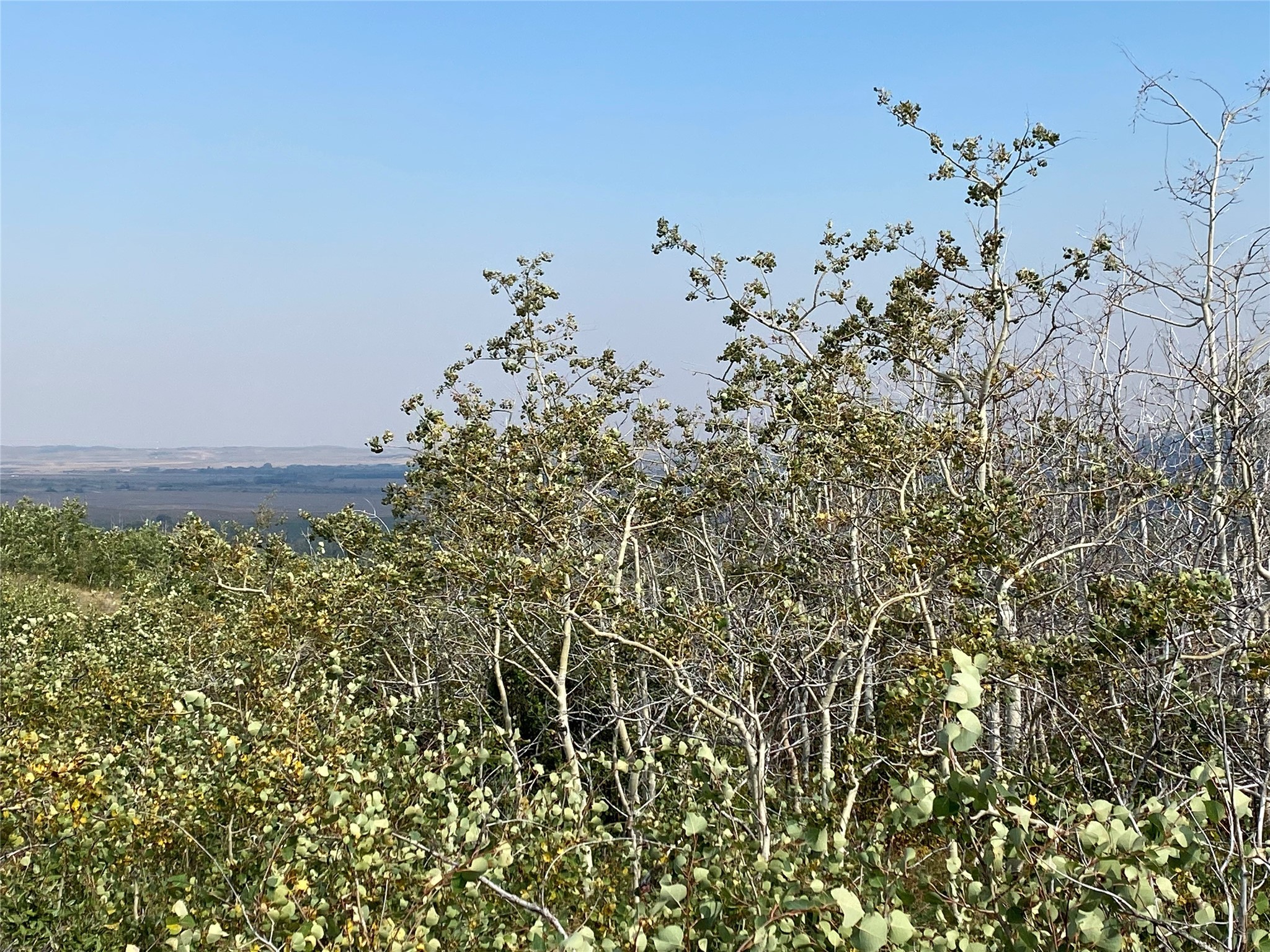 Nhn Arlie Tracts - Lots 28/29