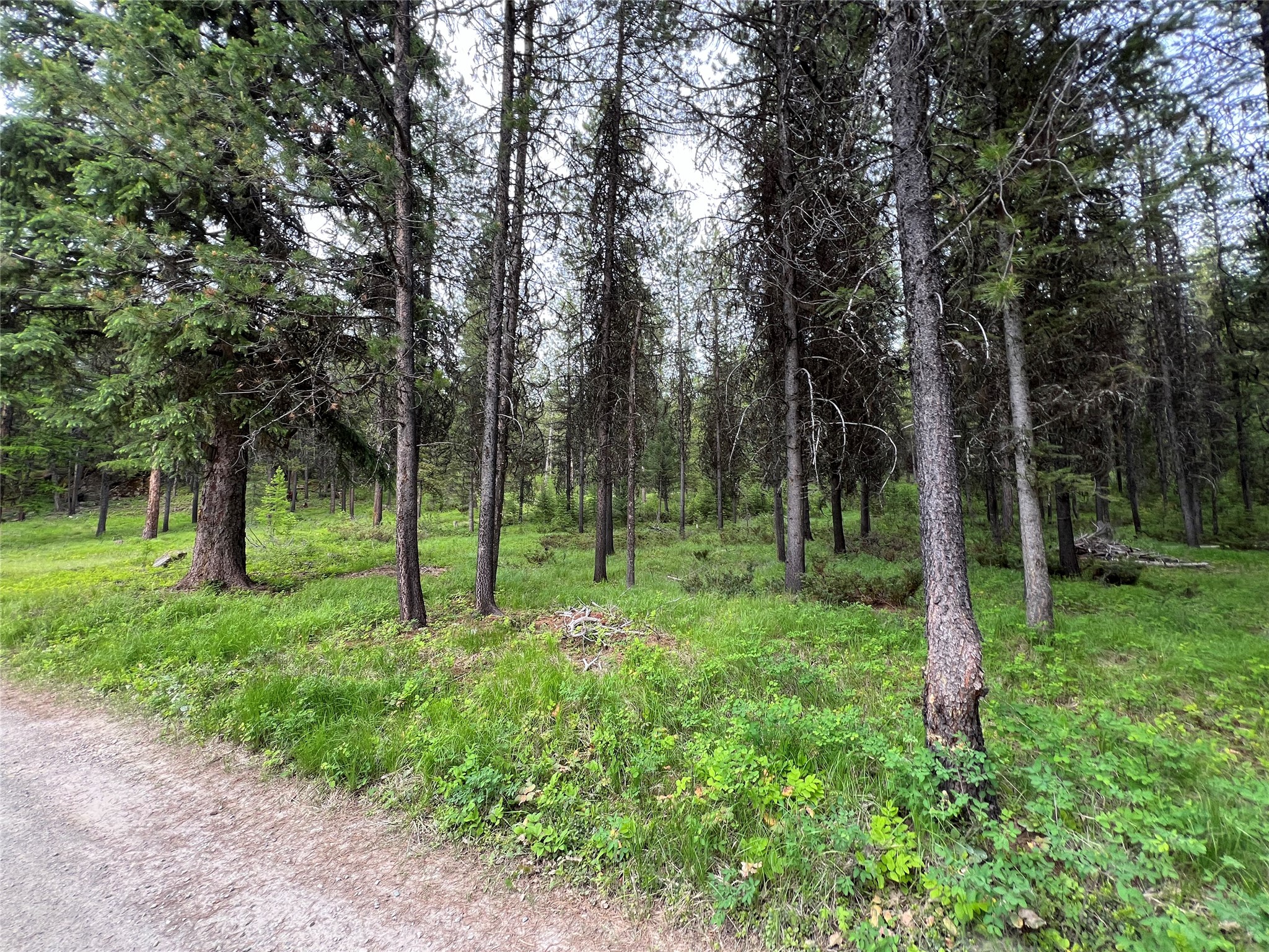 673 Soaring Eagle Trail