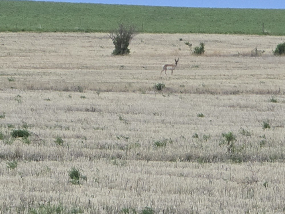 Photo 1 of 4 — NHN 5th Lane NW, Choteau, MT 59422