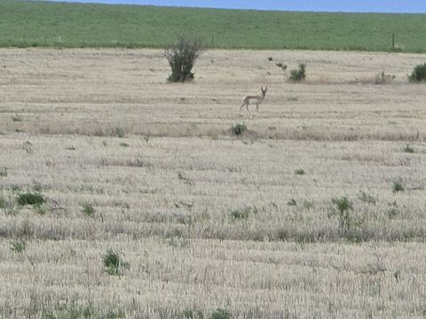Photo of NHN 5th NW, Choteau, MT 59422 (MLS # 30073249)