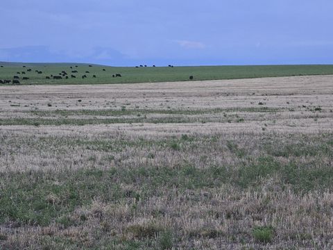 Tiny photo for NHN 5th NW, Choteau, MT 59422 (MLS # 30073249)