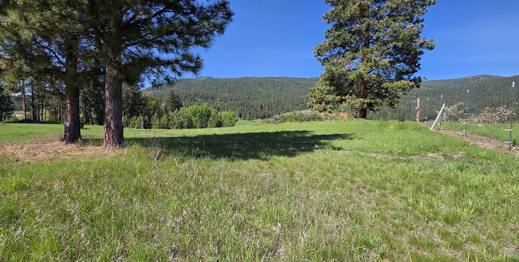 22756 Us Highway 93