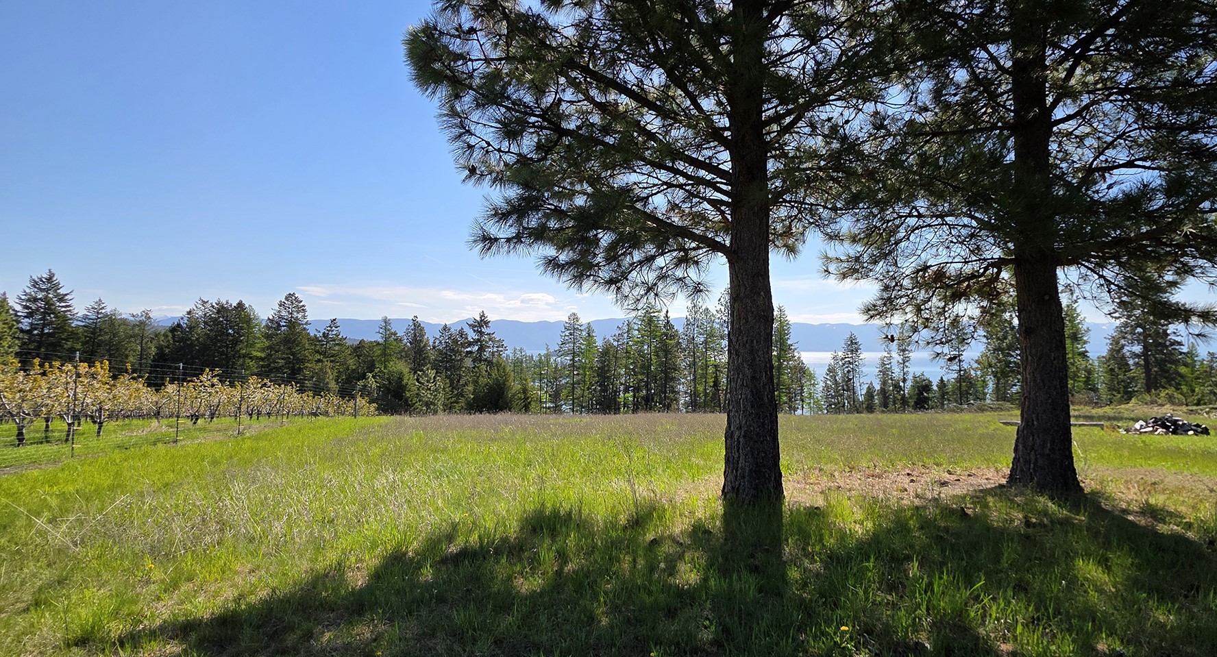 22756 Us Highway 93