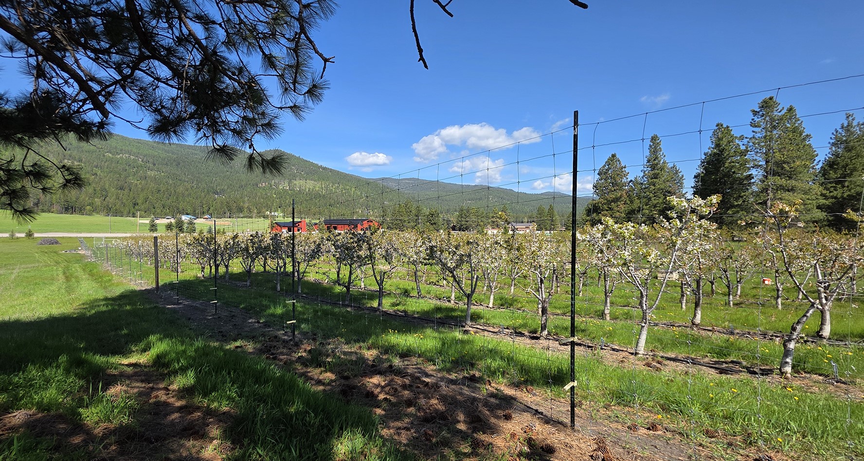22756 Us Highway 93