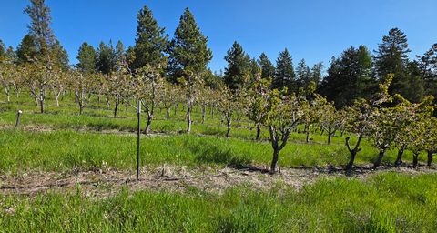 Tiny photo for 22756 Us Highway 93, Rollins, MT 59931 (MLS # 30071306)
