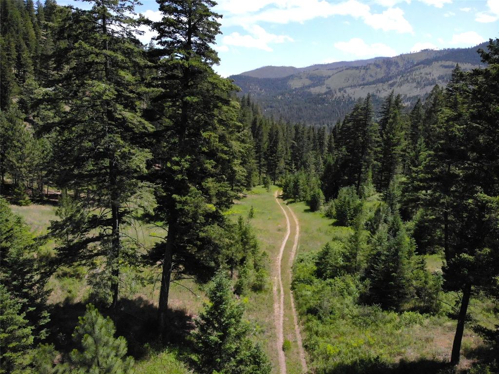 Photo of NHN Nez Perce Loop, Lolo, MT 59847 (MLS # 30060002)