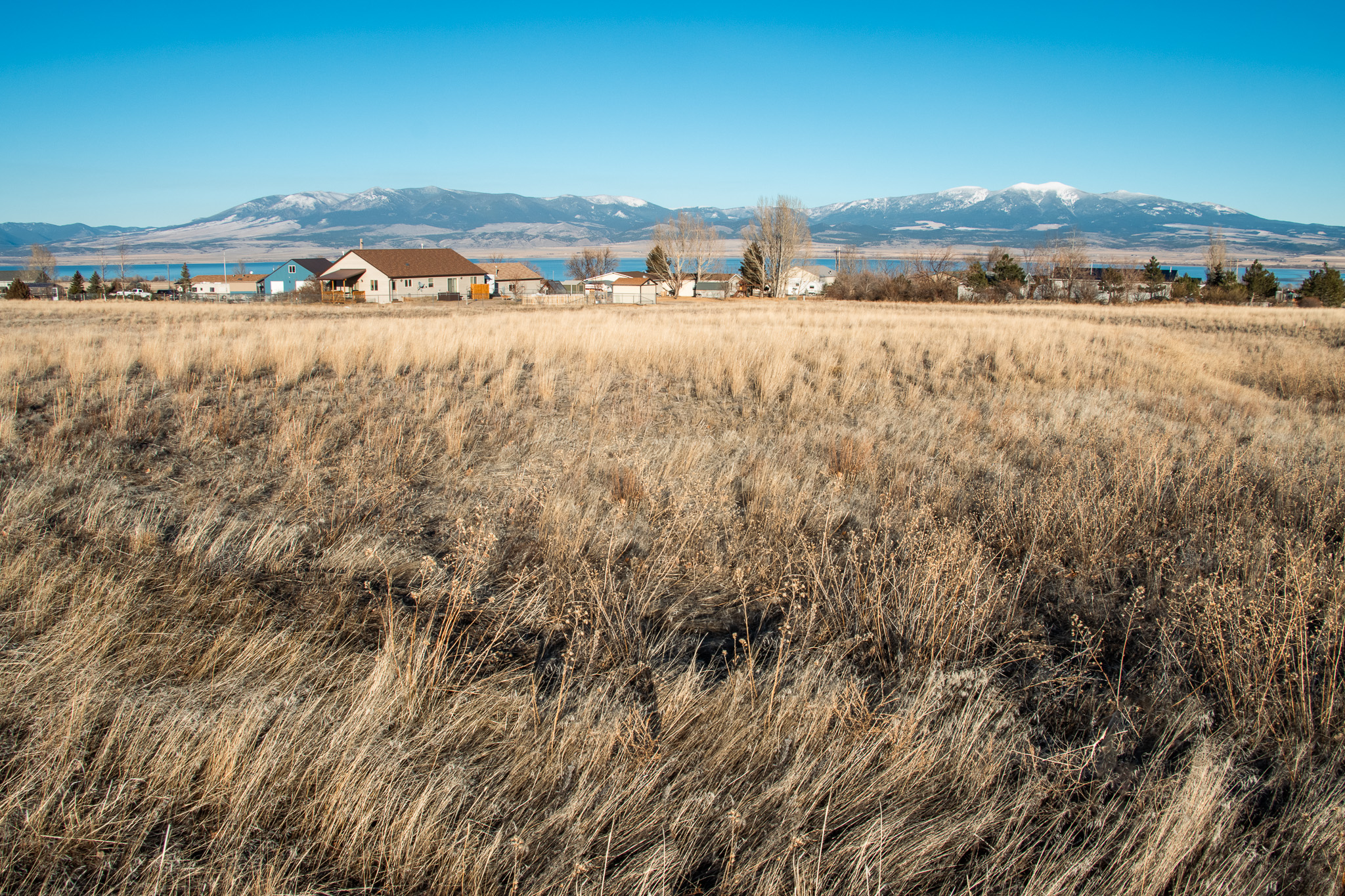 TBD Prickly Pear Drive