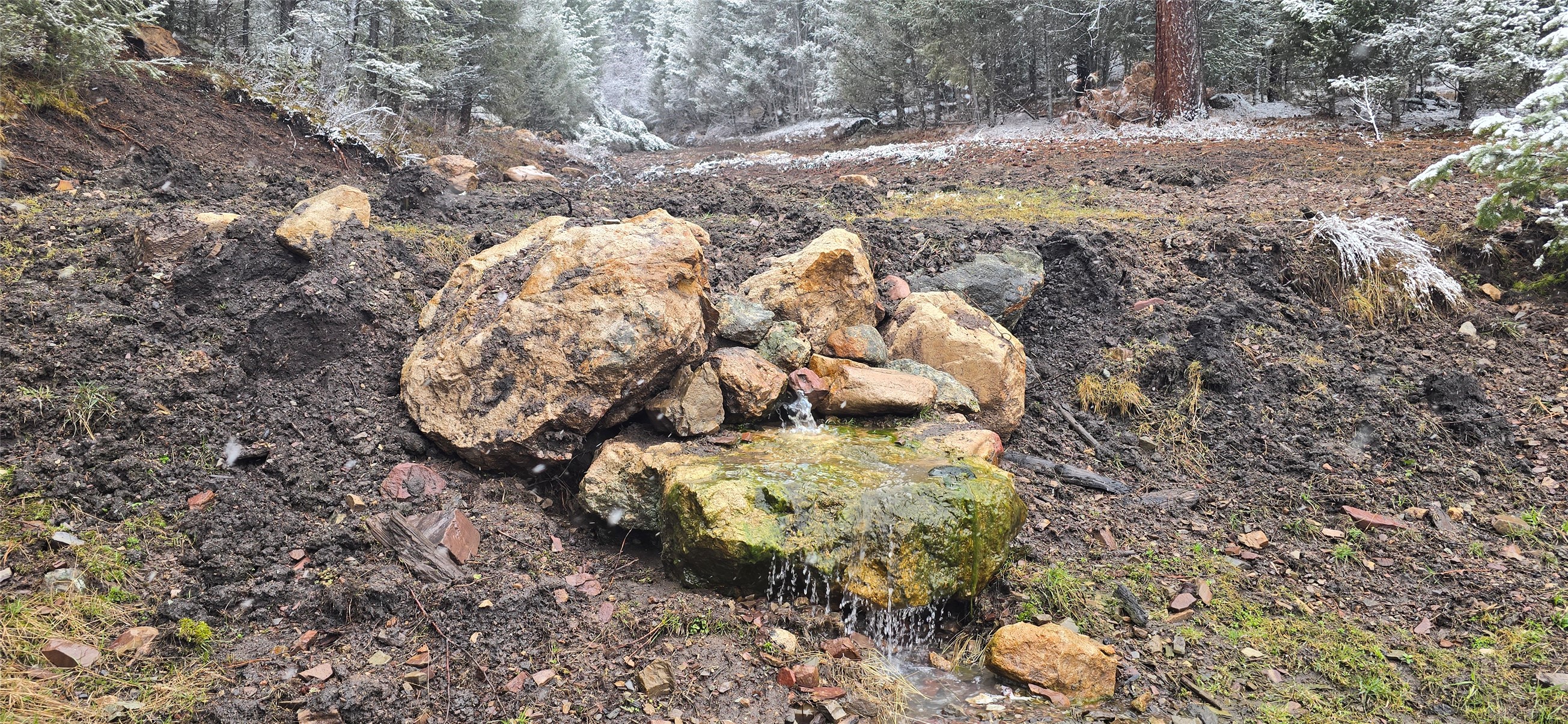 4 Tract, Bull Elk