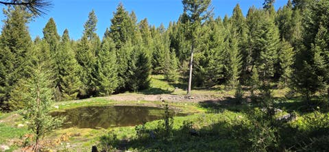 Photo of 4 Tract, Bull Elk, Drummond, MT 59832 (MLS # 30075030)