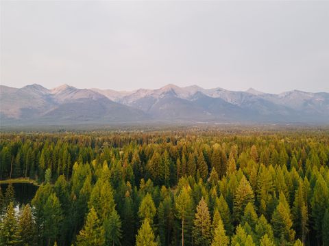 Tiny photo for NHN Styler Drive, Condon, MT 59826 (MLS # 30071645)