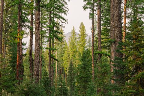 Tiny photo for NHN Styler Drive, Condon, MT 59826 (MLS # 30071645)