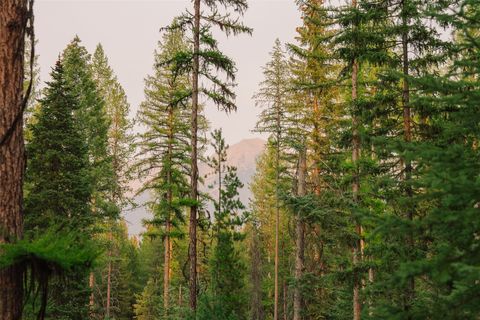 Tiny photo for NHN Styler Drive, Condon, MT 59826 (MLS # 30071645)
