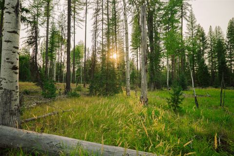 Tiny photo for NHN Styler Drive, Condon, MT 59826 (MLS # 30071645)