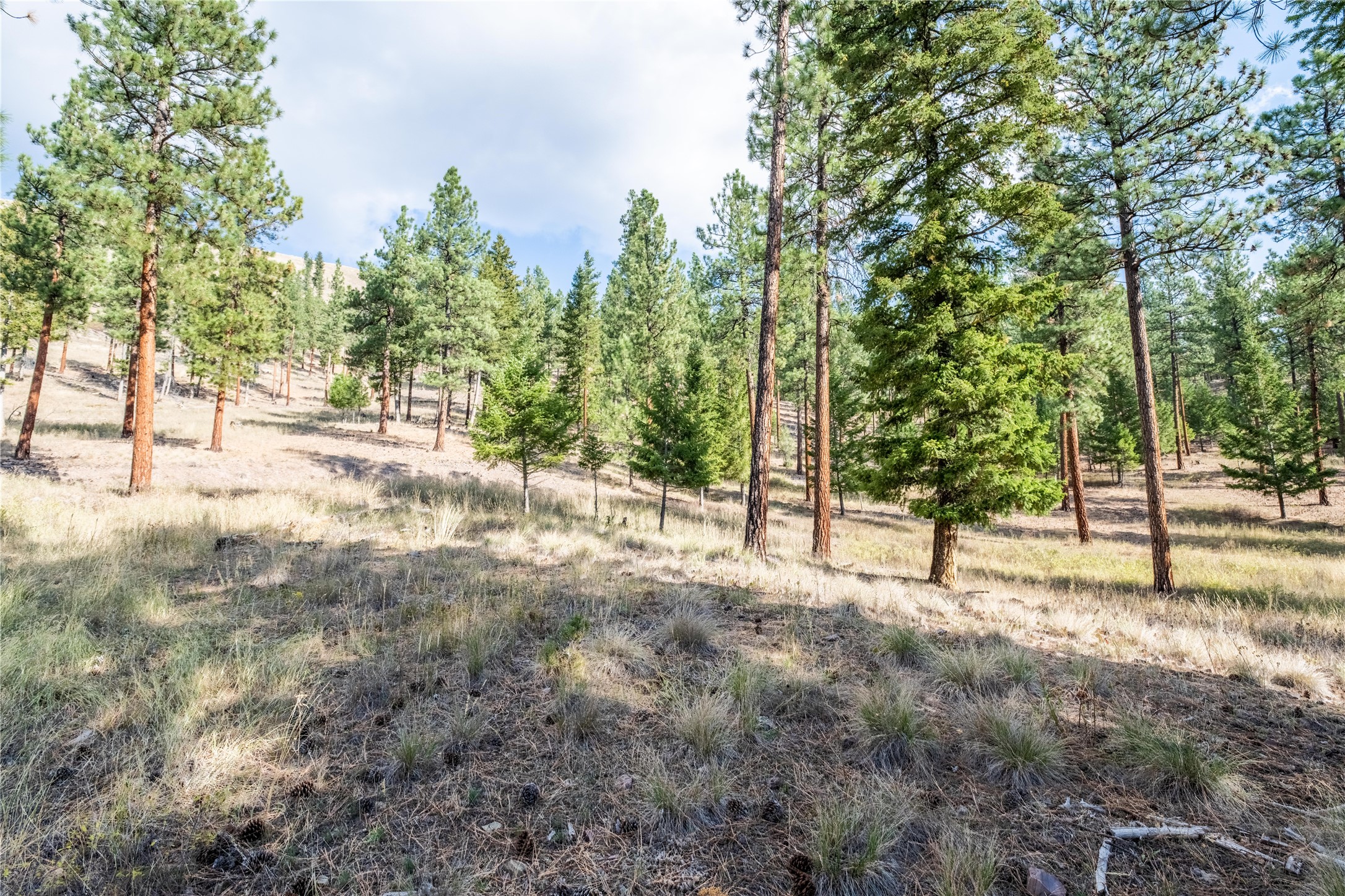 Lot 14 Muddler Court