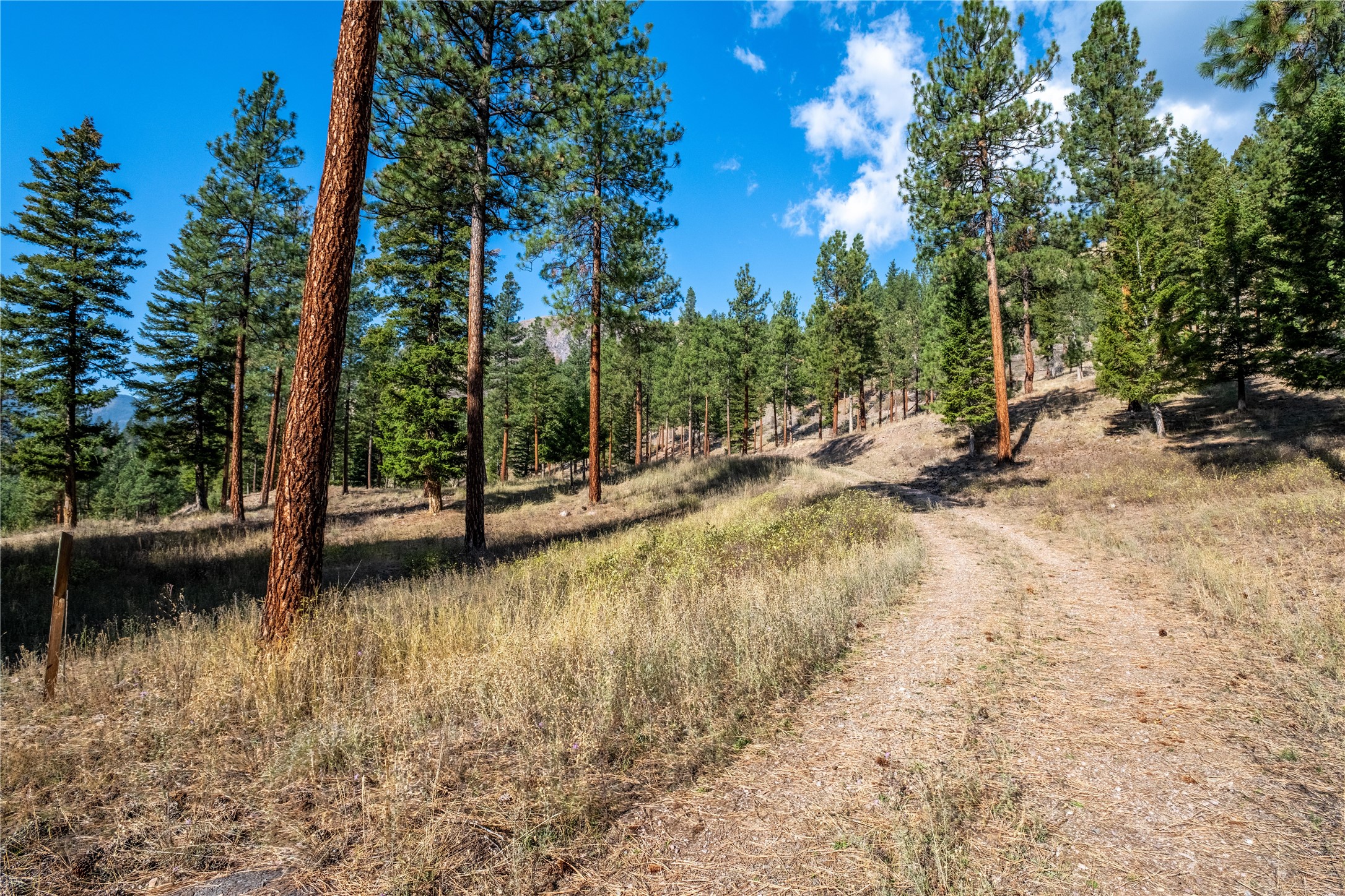 Lot 14 Muddler Court