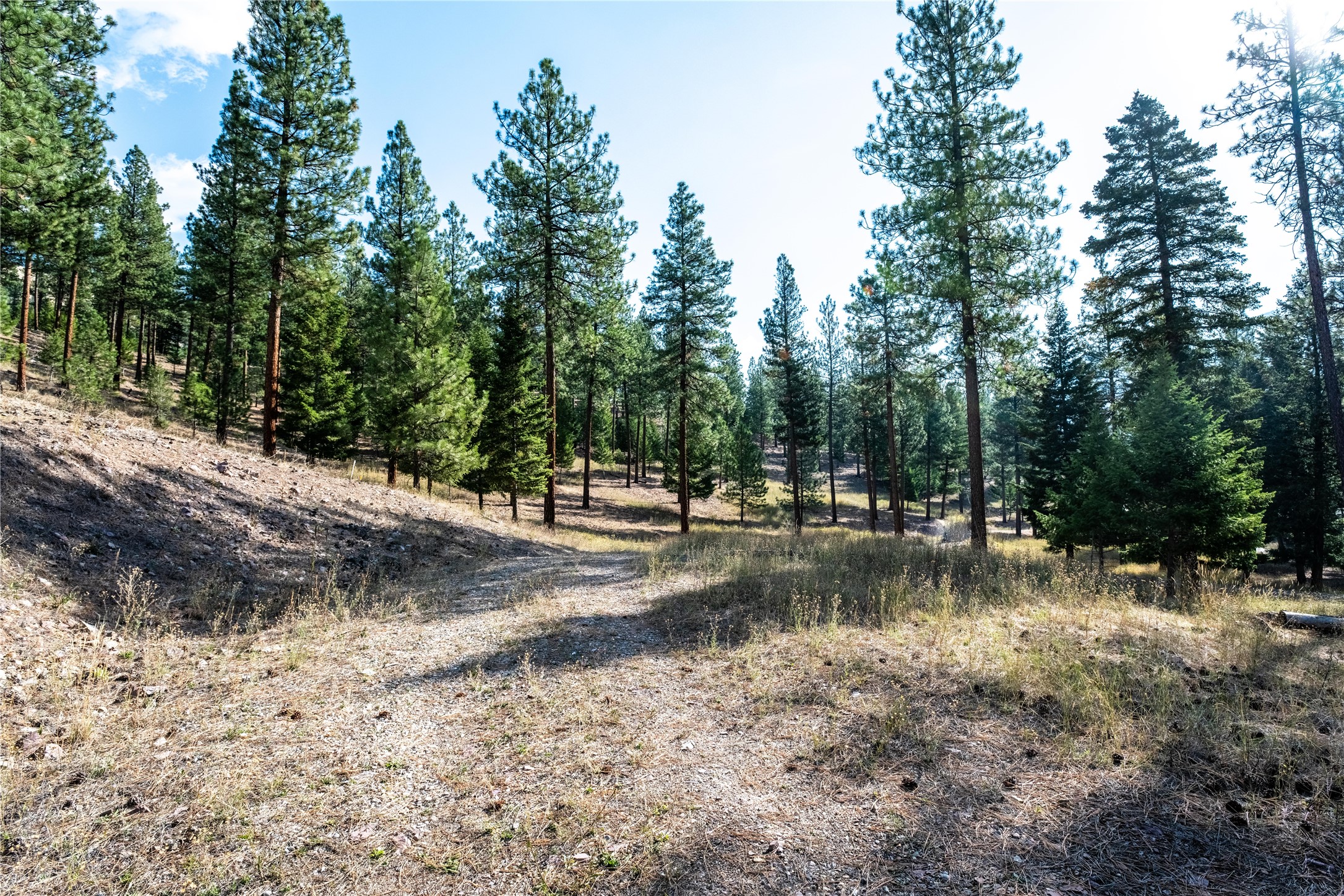 Lot 14 Muddler Court