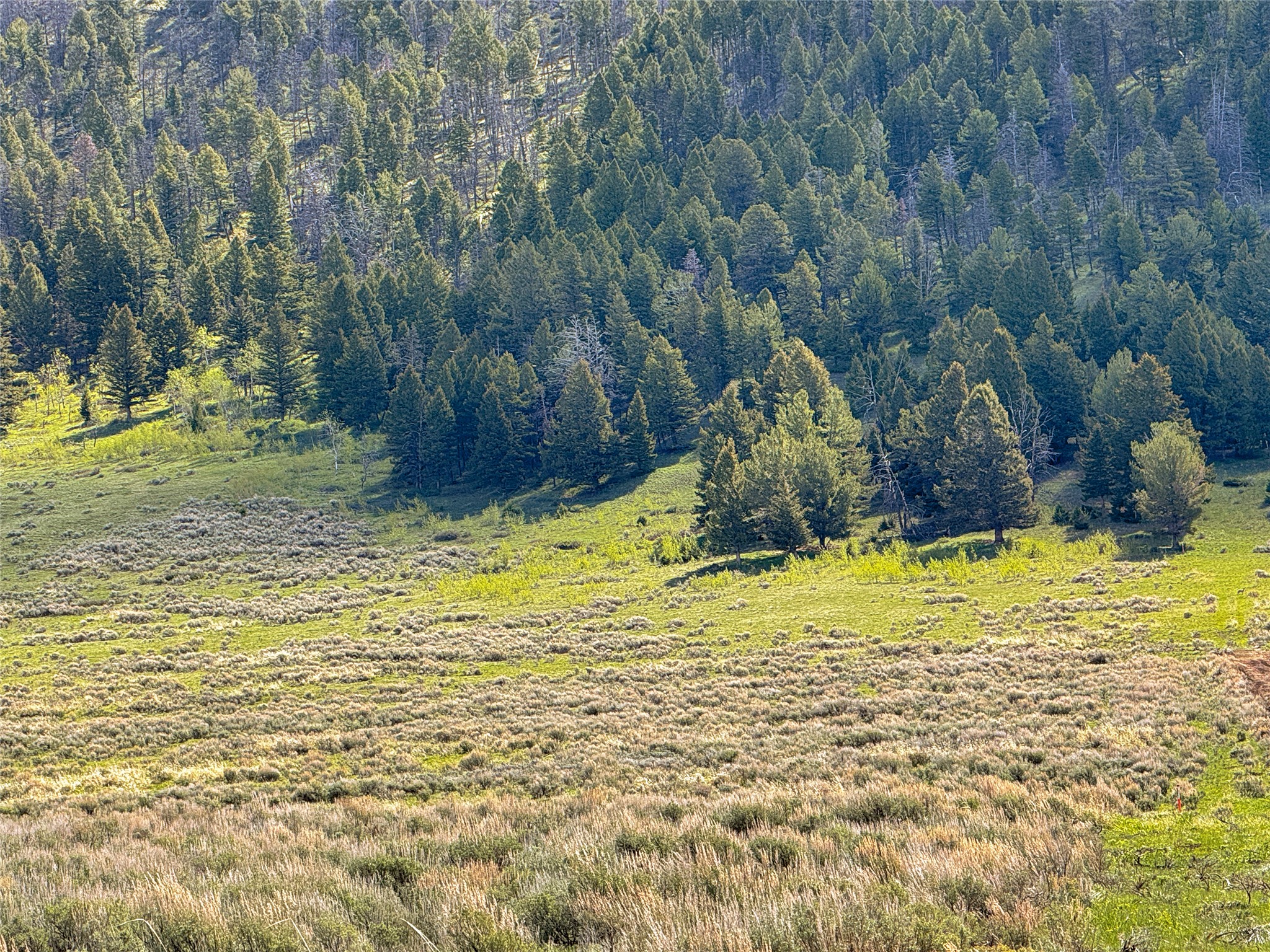 Lot 2 & 4A Continental Divide Road