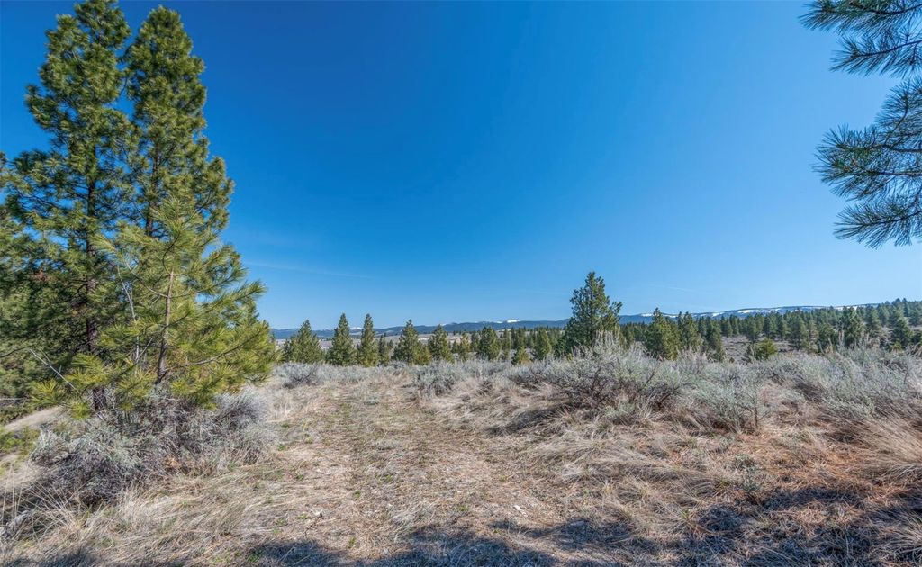 Photo of Parcel C Chase Lane, Stevensville, MT 59870 (MLS # 30065653)